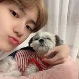 Telegram profile photo for Lee Hyunjae