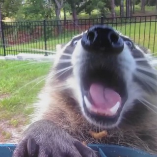 Telegram profile photo for MemOry