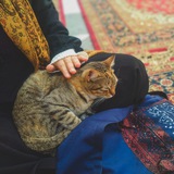 Telegram profile photo for أَسمـا