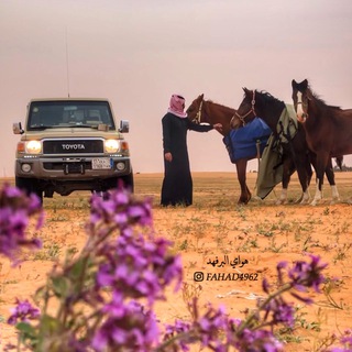 Telegram profile photo for هواي البر فهد