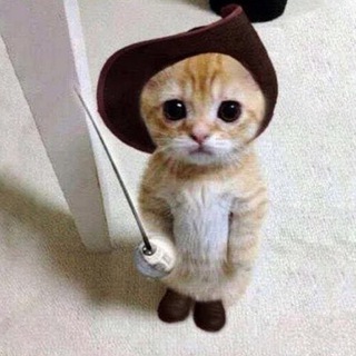 Telegram profile photo for ELCATO PORTAL