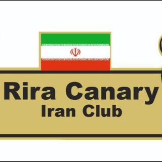 Telegram profile photo for کانال قناری ری را (Rira Canary )