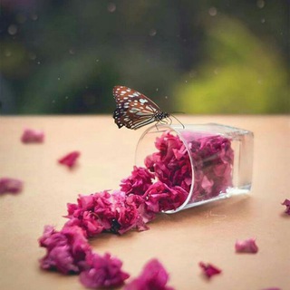 Telegram profile photo for ♡إنطلق ♡ ولاتقف♡