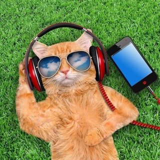 Telegram profile photo for жЫза