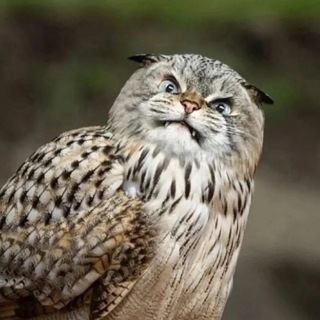 Telegram profile photo for Мемасики