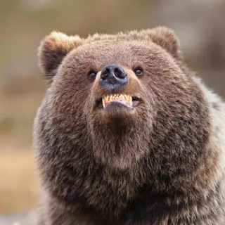 Telegram profile photo for Ха-ха-ха