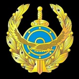 Telegram profile photo for police electronics