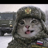 Telegram profile photo for тгк дедули