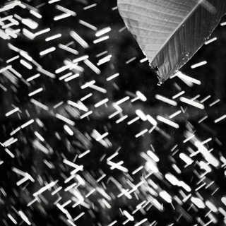Telegram profile photo for Black and White photography