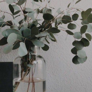 Telegram profile photo for لله نمضي|💚🌿