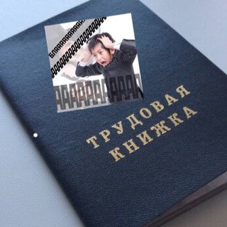 Telegram profile photo for Мемы о трудоустройстве