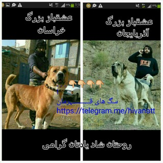 Telegram profile photo for سگ های قــــــــــہرمان