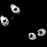 Telegram profile photo for ︎