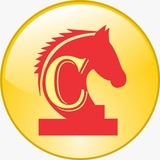 Telegram profile photo for Checkmate Times