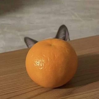 Telegram profile photo for 🎃🍊Контора Мандаринов🌭