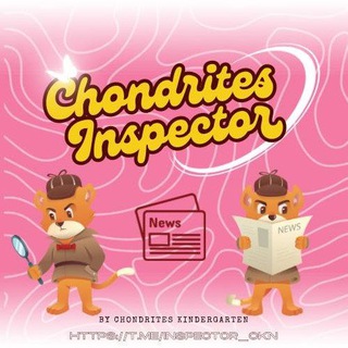 Telegram profile photo for 𝐂hondrites 𝐈nspector