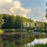 Telegram profile photo for Нежность