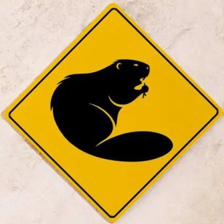 Telegram profile photo for Ворчание бобра
