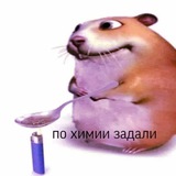 Telegram profile photo for солевой мак.(/^-^(^ ^*)/