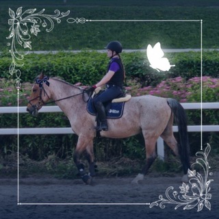 Telegram profile photo for 🐴Horse vibe🫐