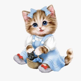 Telegram profile photo for Милота с алиэкспресс✨