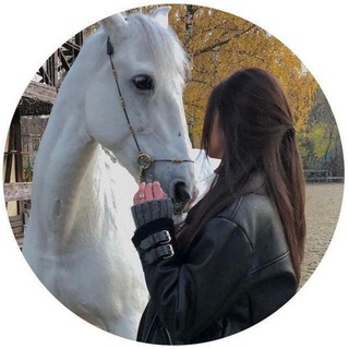 Telegram profile photo for ❥︎ 𝑺 𝑼 𝒍 𝑻 𝑨 𝑵 𝐌