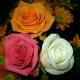 Telegram profile photo for مزيج أحرف