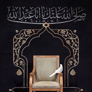 Telegram profile photo for كُمَيْل.