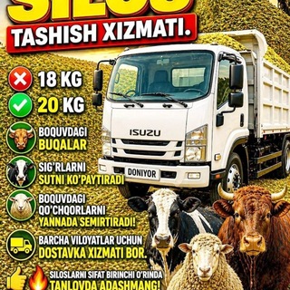 Telegram profile photo for Vodiy silos_uz 916768007