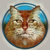 Telegram profile photo for RDC Official Channel