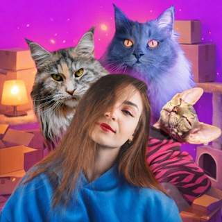 Telegram profile photo for КотоПёся🐾
