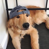 Telegram profile photo for Twoesce Vouches