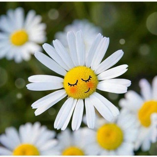 Telegram profile photo for ابتسم تفاؤلاً . . . ツ