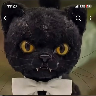 Telegram profile photo for Biocode9