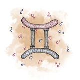 Telegram profile photo for 🪐Zodiac | Близнецы