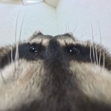 Telegram profile photo for (архив)𝗠𝗮𝗽 𝗼𝗳 𝗺𝗲𝗻𝘁𝗮𝗹 𝗶𝗹𝗹𝗻𝗲𝘀𝘀𝗲𝘀