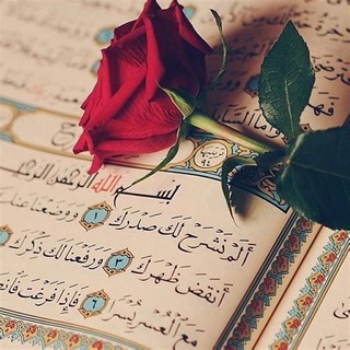 Telegram profile photo for القرآن الكريم (هُدى اللهُ) 🌺