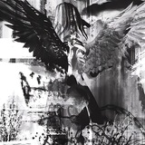 Telegram profile photo for 𝑫𝑨𝑹𝑲 𝑩𝑼𝑺𝑻𝑬𝑹