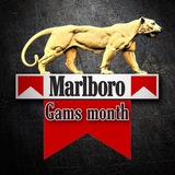 Telegram profile photo for ๖Marlboro Gams month๖
