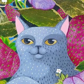 Telegram profile photo for lipsum