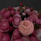 Telegram profile photo for Вкусняшки на праздник Краснодар