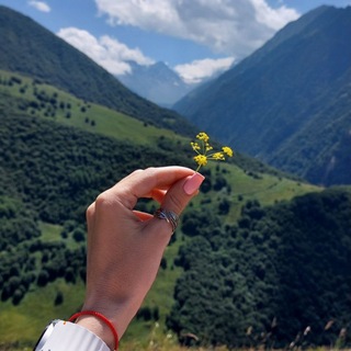 Telegram profile photo for ᨒ Tsaraevna