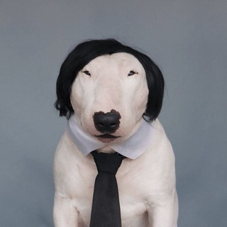Telegram profile photo for Keanu I Portal