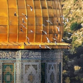 Telegram profile photo for رحلة إلي الداخل 👣🦋🤍