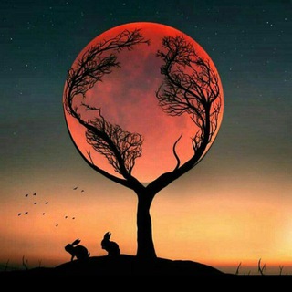 Telegram profile photo for amazing profile pictures
