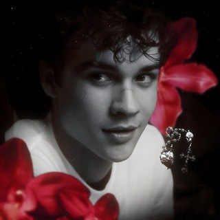 Telegram profile photo for 𝑳'𝒐𝒎𝒃𝒓𝒆 𝒅𝒆 𝑻.