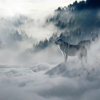 Telegram profile photo for Wallpapers And Art