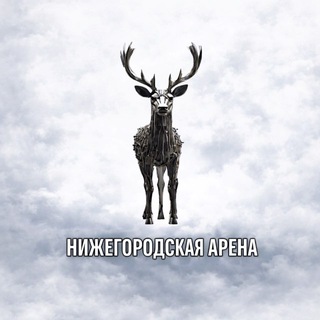 Telegram profile photo for Нижегородская арена | Спорт Нижний Новгород