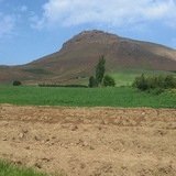 Telegram profile photo for آوای سلامت کوسته