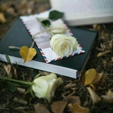 Telegram profile photo for "أسِيَرةّ آلَذِکْريَآتٌ🦋"